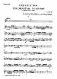 Trumpet Concerto (originally in D) Thumbnail