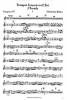 Trumpet Concerto  Thumbnail