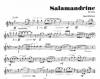 Salamandrine for Trumpet and Piano!!!!with MP3 download Thumbnail