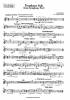 Trombone Solo !!!!from Symphony No 3 Thumbnail