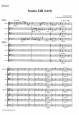 Sonata XIII (1615) Thumbnail