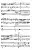 Trio for Horn, Violin and Piano Thumbnail